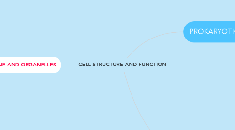 Mind Map: CELL STRUCTURE AND FUNCTION
