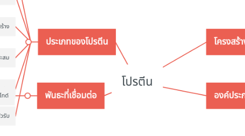 Mind Map: โปรตีน