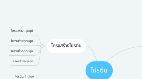 Mind Map: โปรตีน