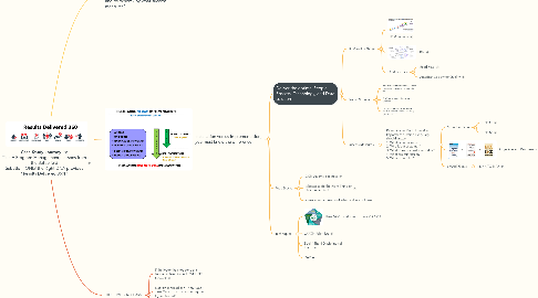 Mind Map: **Case Study Journey** for Title = Program Management, Lessons from the Battlefield Subtitle = ONLY the Right DNA provides "Results Delivered 360!"