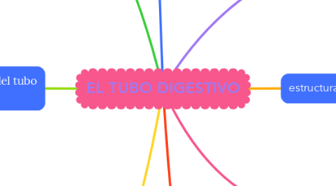 Mind Map: EL TUBO DIGESTIVO