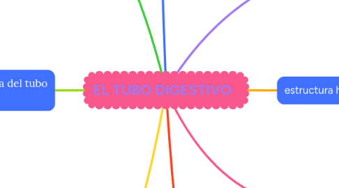 Mind Map: EL TUBO DIGESTIVO