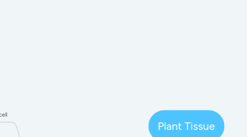 Mind Map: Plant Tissue