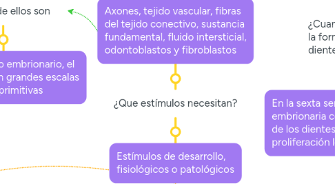 Mind Map: Estructuras y funciones del complejo pulpodentinario