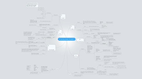 Mind Map: Film opening synopsis- 'The Debt'