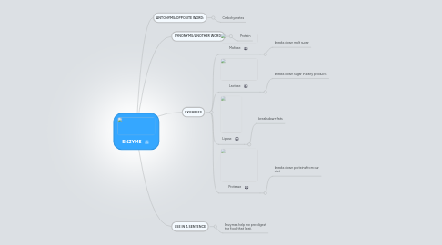 Mind Map: ENZYME