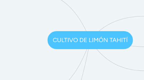 Mind Map: CULTIVO DE LIMÓN TAHITÍ