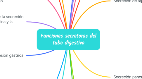 Mind Map: Funciones secretoras del tubo digestivo