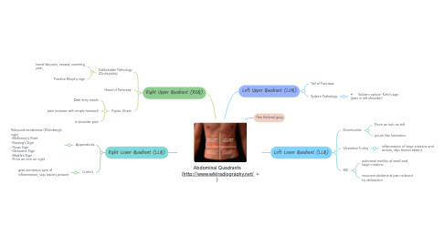 Mind Map: Abdominal Quadrants (http://www.wikiradiography.net/ )
