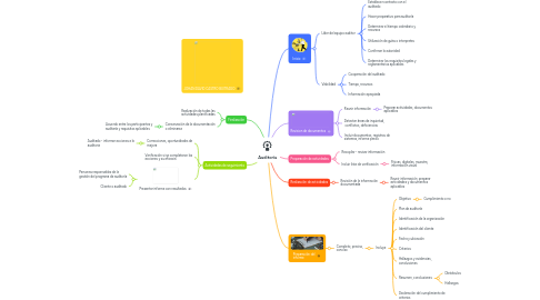 Mind Map: Auditoría