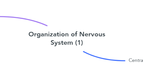 Mind Map: Organization of Nervous System (1)