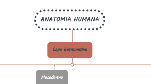Mind Map: ANATOMIA HUMANA