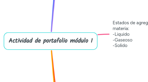 Mind Map: Actividad de portafolio módulo I