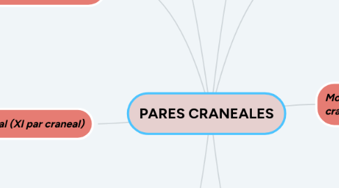 Mind Map: PARES CRANEALES