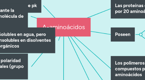 Mind Map: A-aminoácidos