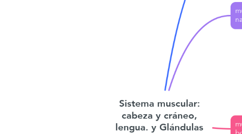 Mind Map: Sistema muscular: cabeza y cráneo, lengua. y Glándulas salivales