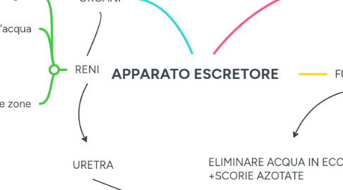 Mind Map: APPARATO ESCRETORE
