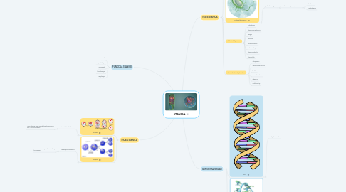 Mind Map: STANICA