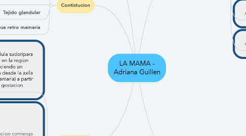 Mind Map: LA MAMA - Adriana Guillen