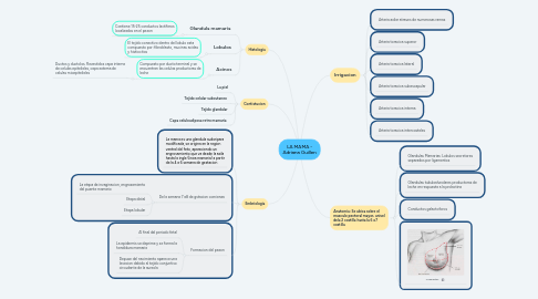 Mind Map: LA MAMA - Adriana Guillen