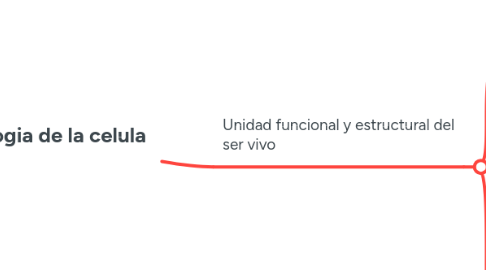 Mind Map: Fisiologia de la celula