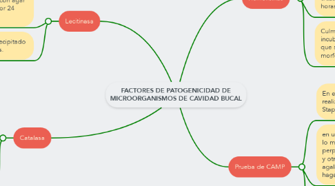 Mind Map: FACTORES DE PATOGENICIDAD DE MICROORGANISMOS DE CAVIDAD BUCAL