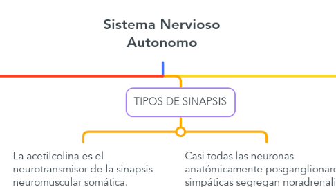 Mind Map: Sistema Nervioso Autonomo