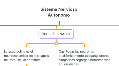 Mind Map: Sistema Nervioso Autonomo