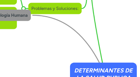 Mind Map: DETERMINANTES DE LA SALUD PUBLICA