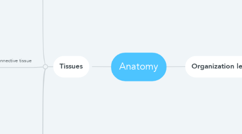 Mind Map: Anatomy