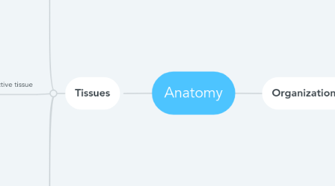 Mind Map: Anatomy