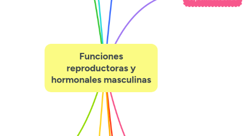 Mind Map: Funciones reproductoras y hormonales masculinas