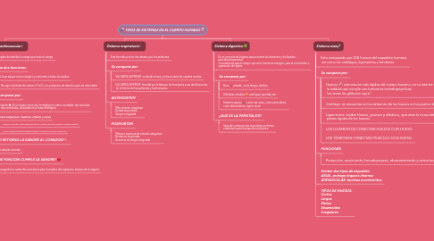 Mind Map: TIPOS DE SISTEMAS EN EL CUERPO HUMANO 💀