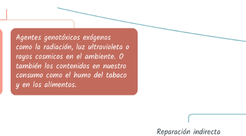 Mind Map: Reparación del ADN