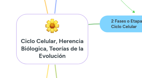 Mind Map: Ciclo Celular, Herencia Biólogica, Teorías de la Evolución