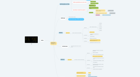 Mind Map: ANATOMIA 1 - MEIOSE I E II