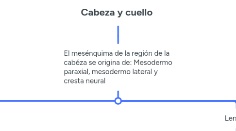 Mind Map: Cabeza y cuello