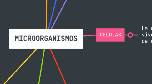 Mind Map: MICROORGANISMOS