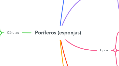 Mind Map: Poríferos (esponjas)