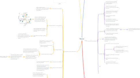 Mind Map: Neurons