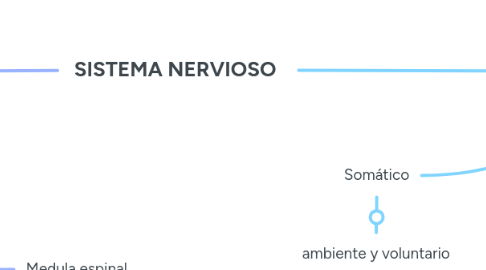 Mind Map: SISTEMA NERVIOSO