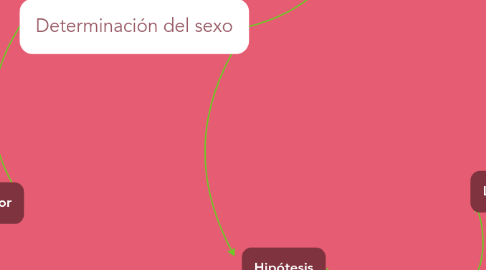Mind Map: Determinación del sexo