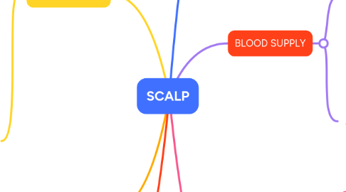 Mind Map: SCALP