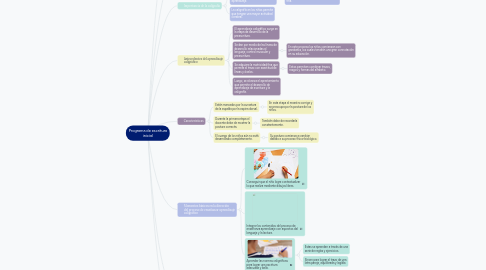 Mind Map: Programa de escritura inicial