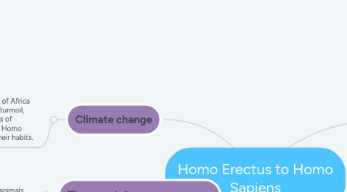 Mind Map: Homo Erectus to Homo Sapiens