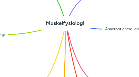 Mind Map: Muskelfysiologi