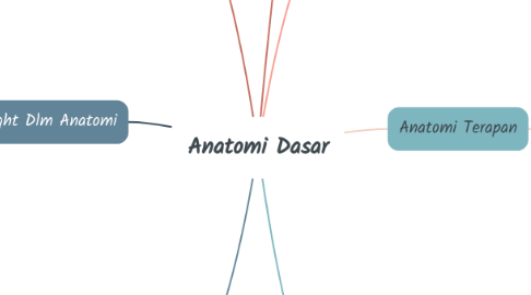 Mind Map: Anatomi Dasar
