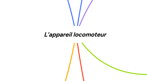 Mind Map: L'appareil locomoteur