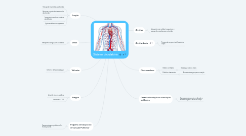 Mind Map: Sistema circulatório