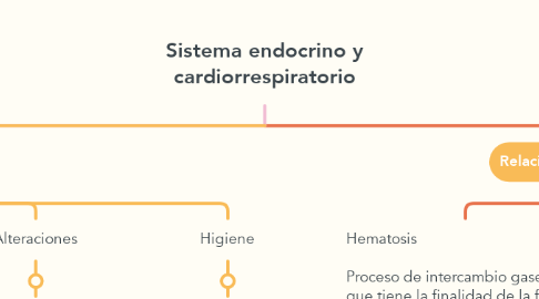 Mind Map: Sistema endocrino y cardiorrespiratorio